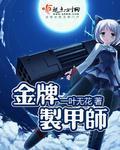 金牌制甲师 作者:一叶无花