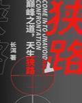 狭路 作者:长洱