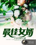最佳女婿 作者:陪你倒数