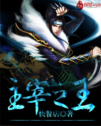 主宰之王 作者:快餐店