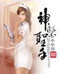 神医圣手 作者:小小羽