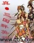 三国群英传 作者:聋瞎