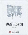 功盖三分国 作者:阳懿