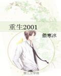 重生2001 作者:傲寒冰