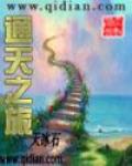 通天之旅 作者:天冰石