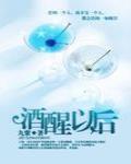 酒醒以后 作者:九紫