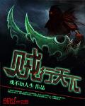 贼行天下 作者:戏不如人生