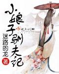 小娘子驯夫记 作者:迷路的龙