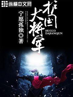 护国大将军 作者:宁愿孤独