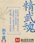 精武魂 作者:刑干戚