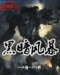 黑暗风暴 作者:一天瘦一斤