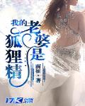 我的老婆是狐狸精 作者:南征