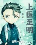 上医至明 作者:陈家三郎