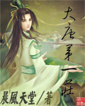 大唐第一庄 作者:晨风天堂