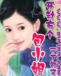 开封有个包小姐 作者:三丁包子