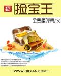 捡宝王 作者:全金属弹壳