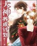 大神养成计划 作者:淮上