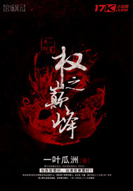 权之巅峰 作者:一叶瓜洲
