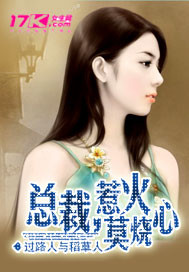 总裁，惹火莫烧心 作者:过路人与稻草人