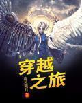 穿越之旅 作者:清风明月