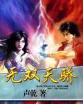 无双天骄 作者:声乾
