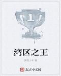 湾区之王 作者:磨砚少年