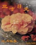 三寸日光 作者:三月微草