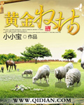 黄金牧场 作者:卖萌无敌小小宝