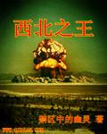 西北之王 作者:禁区中的幽灵