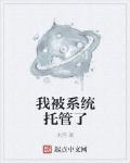 我被系统托管了 作者:木恒