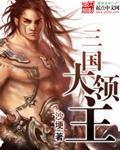 三国大领主 作者:沙埂