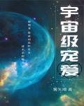 宇宙级宠爱 作者:雾矢翊