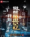 公司上市从觉醒后世记忆开始 作者:坏坏的宝宝