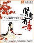 贤妻有毒 作者:leidewen