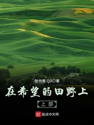 在希望的田野上 作者:张书勇