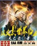 从火影世界归来 作者:天已逝