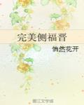 完美侧福晋 作者:悄然花开