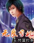 无良司机 作者:竹篮打水1