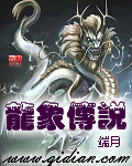 龙象传说 作者:端月