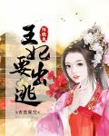 王妃要出逃 作者:陌晓鱼