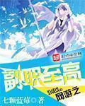 网游之副职至高 作者:七颗蓝莓