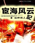 宦海风云记 作者:温岭闲人