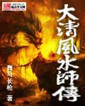 大清风水师传 作者:舞马长枪
