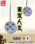 鉴宝人生 作者:吃仙丹