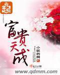 富贵天成 作者:小妖的网