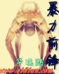 暴力前锋 作者:华晓鸥
