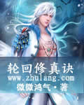 轮回修真诀 作者:微微鸿气