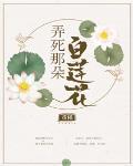 弄死那朵白莲花 作者:重槿