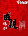 成亲 作者:妹姒