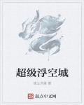 超级浮空城 作者:诸生浮屠